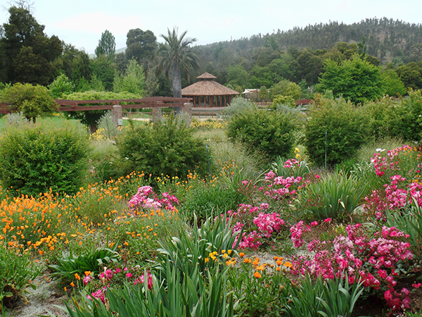 La Casona Restaurant at Matitec Winery