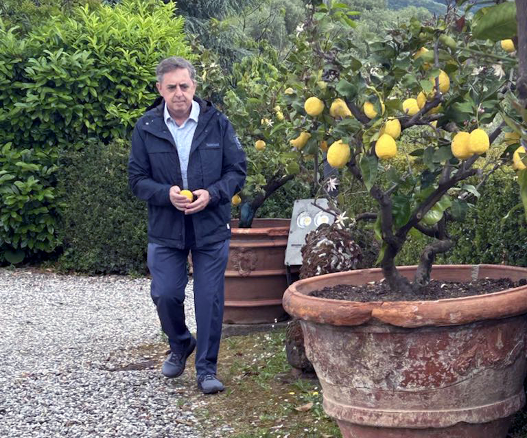 A man walking beside lemon trees